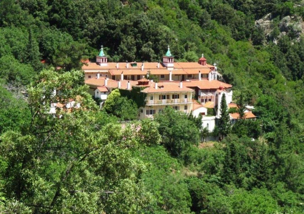 Ilias Appartements Tsaprounis Ellinika  Bagian luar foto